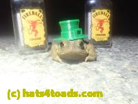 /home//u458753944/public_html/sourcegallery//Roxborough Toad Detour/2025/2025-03-16/P3161625.JPG